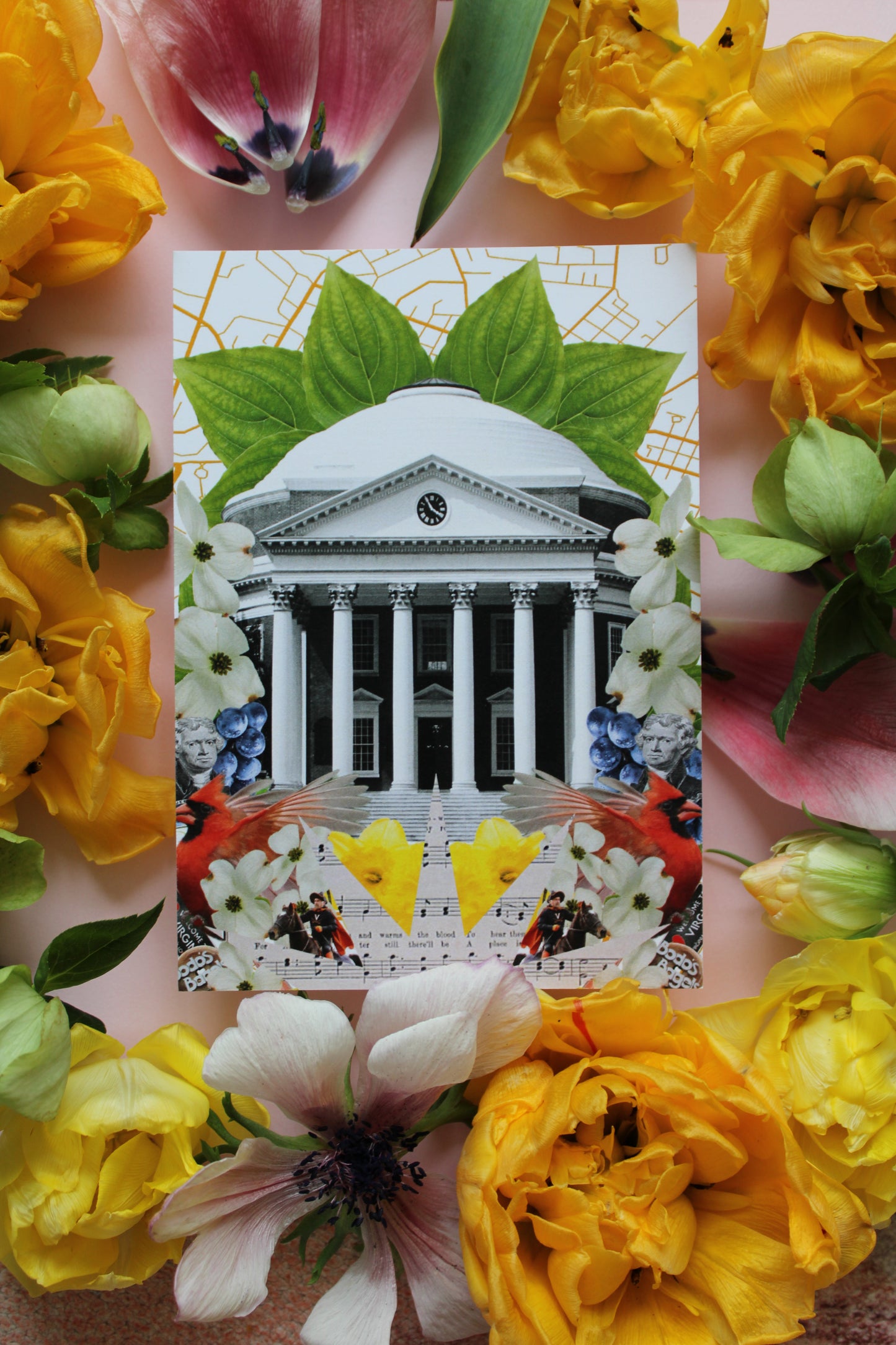 University of Virginia