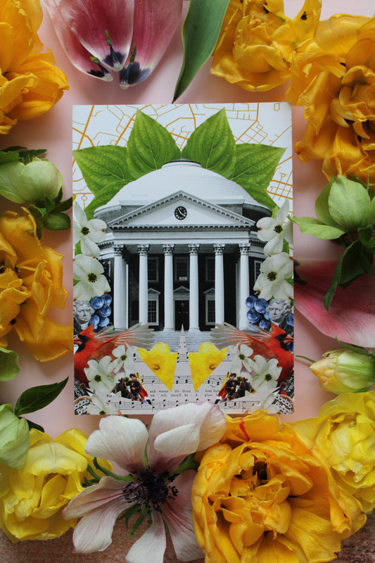 University of Virginia